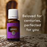 Lavender Essential Oil 15 ml