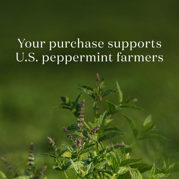 Peppermint Essential Oil 15 ml